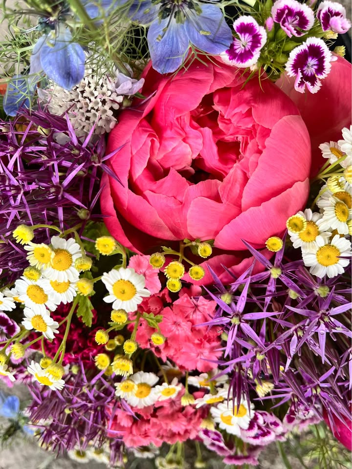 Close-up of a colorful bouquet with a large pink flower, white daisies, and purple blossoms