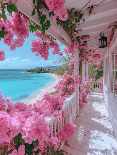 Pink Bougainvillea Beach Porch