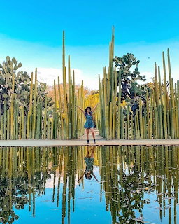 Girl in Cactus Garden