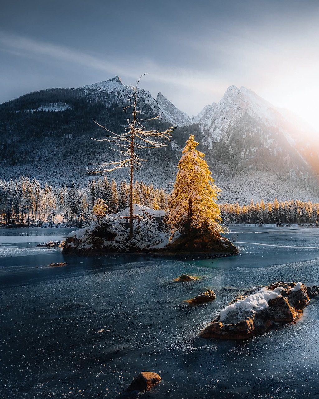 Frozen alpine lake with a small rocky island topped by a golden larch tree and snow-covered mountains behind