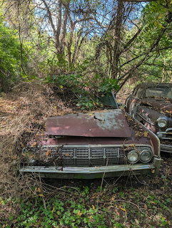 Rusting 1964 Lincoln Continental abandoned in overgrown woods with vines and brush