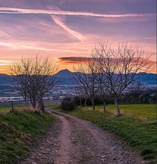 Rolling green hills and trees in an Auvergne countryside landscape under a wide sky.