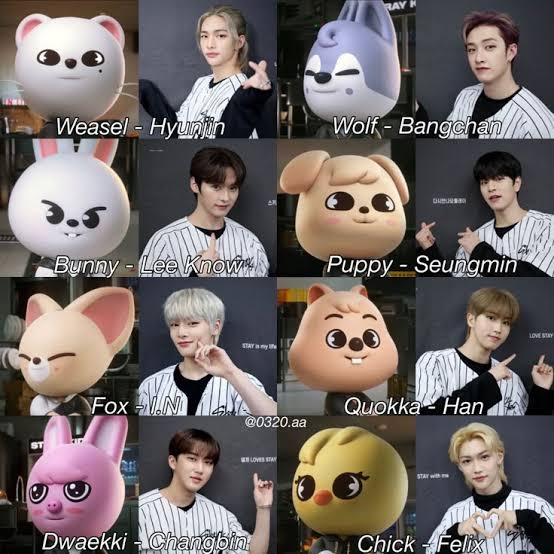 Stray Kids with Skzoo