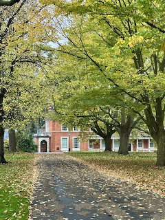 Tree-Lined Brick House