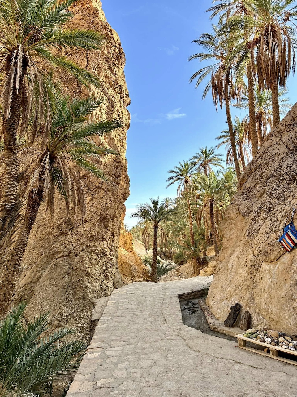 Stone path through a narrow desert canyon with tall rock walls and date palm trees