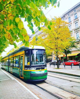 Green and yellow tram on tracks along a city street with trees and buildings