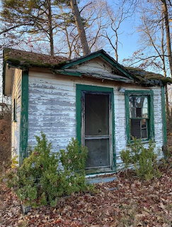Small abandoned white cottage with peeling paint and green trim surrounded by overgrown bushes and bare trees