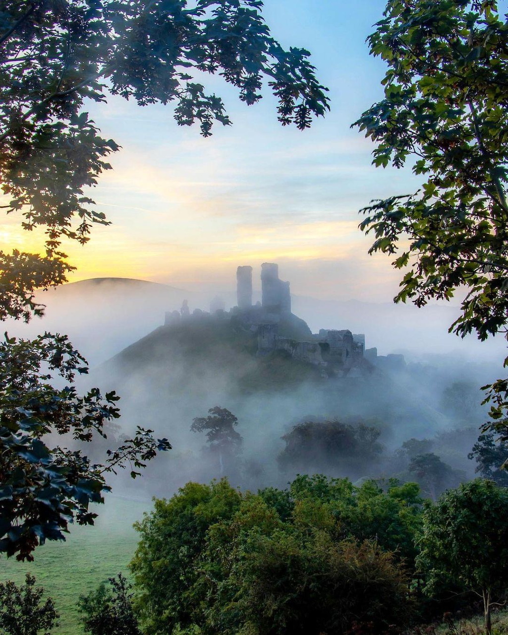 Castle ruins on a misty hill at sunrise, framed by green trees and golden sky