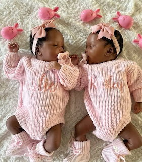 Twin Babies in Pink Outfits