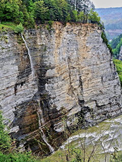 Thin waterfall flowing down a tall stratified rock cliff at Letchworth State Park, NY, framed by green trees