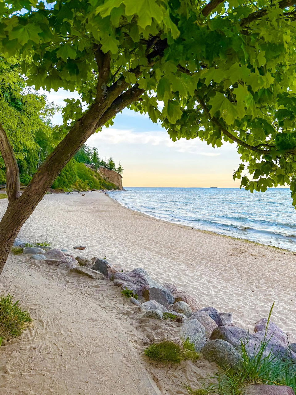 Peaceful beach with tree, sand, rocks and calm sea water