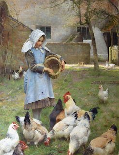 Woman in blue dress and white bonnet feeding chickens in rustic farmyard