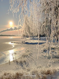 Frost-covered trees beside an icy river with sunlight reflecting on the snow in winter