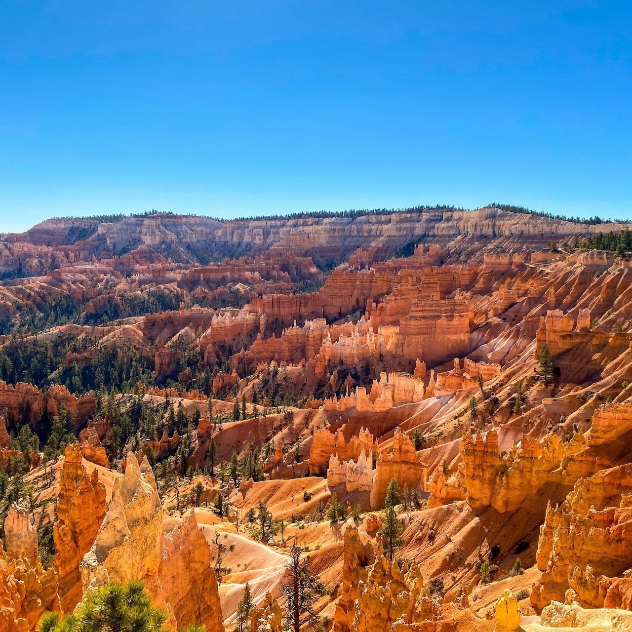 Orange hoodoos and layered canyon cliffs under a clear blue sky at Bryce Canyon