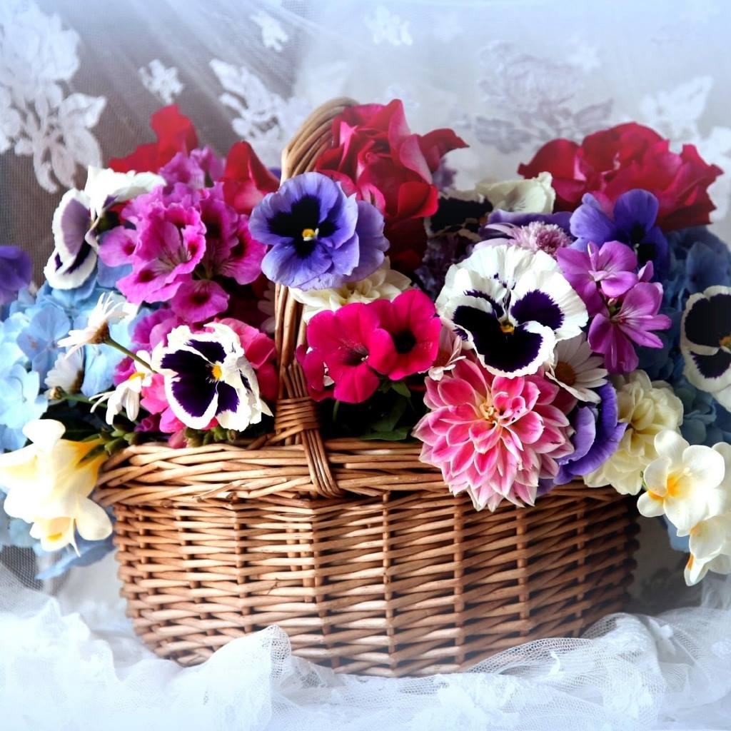 Colorful flower arrangement with pansies, dahlias and petunias in wicker basket