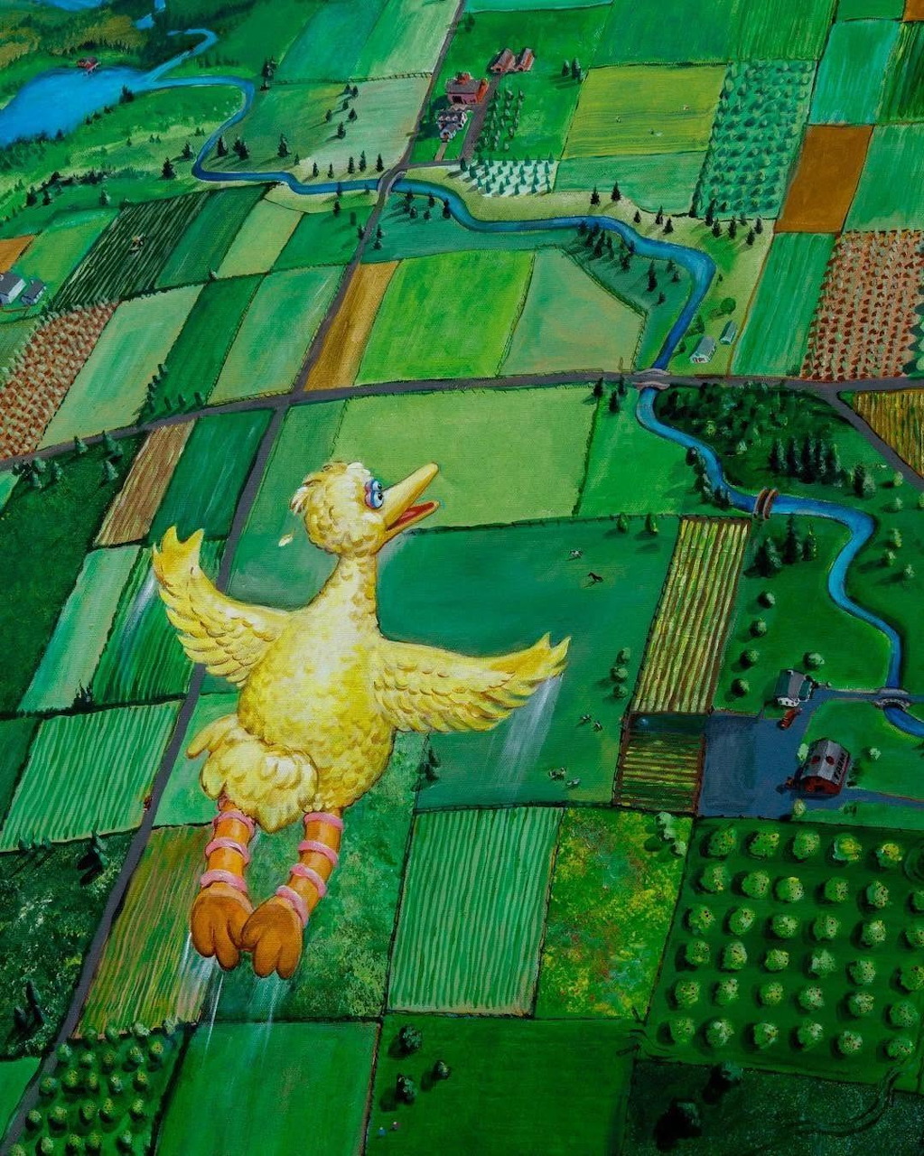 Big Bird flying high above a colorful aerial view of green farmland fields and winding rivers