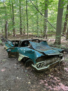 Abandoned turquoise 1958 Chevy Biscayne sedan rusting in a forest surrounded by trees and leaves