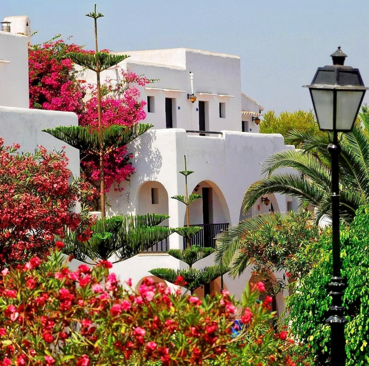 White Mediterranean villa surrounded by pink bougainvillea and tropical plants with vintage black lantern in foreground