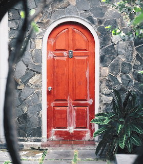 Weathered red arched wooden door in a stone wall with green plants around it