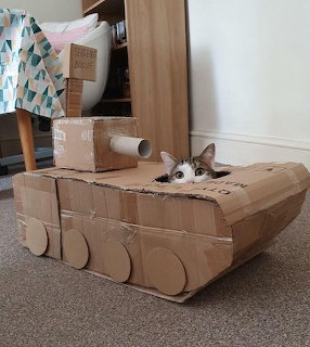 White and gray cat sitting in a cardboard tank craft on carpet