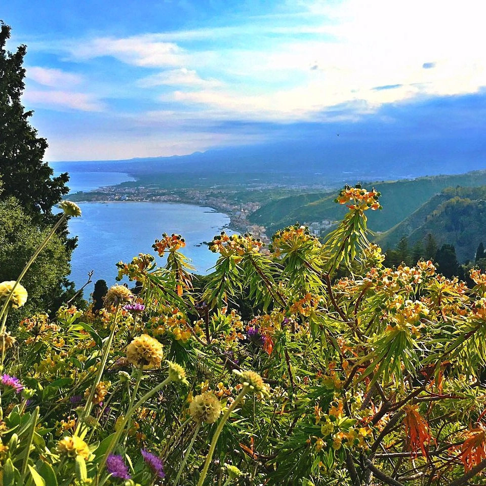 Wildflowers overlooking blue water and green hills beneath a bright cloudy sky