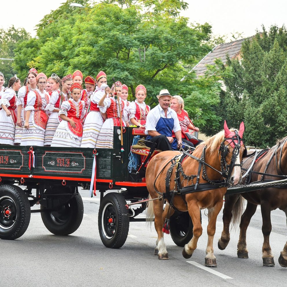 Horse-Drawn Wagon