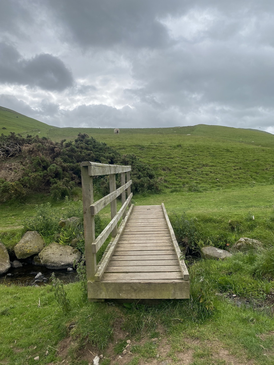 Wooden footbridge over a stream in the green rolling hills of Scotland under overcast skies