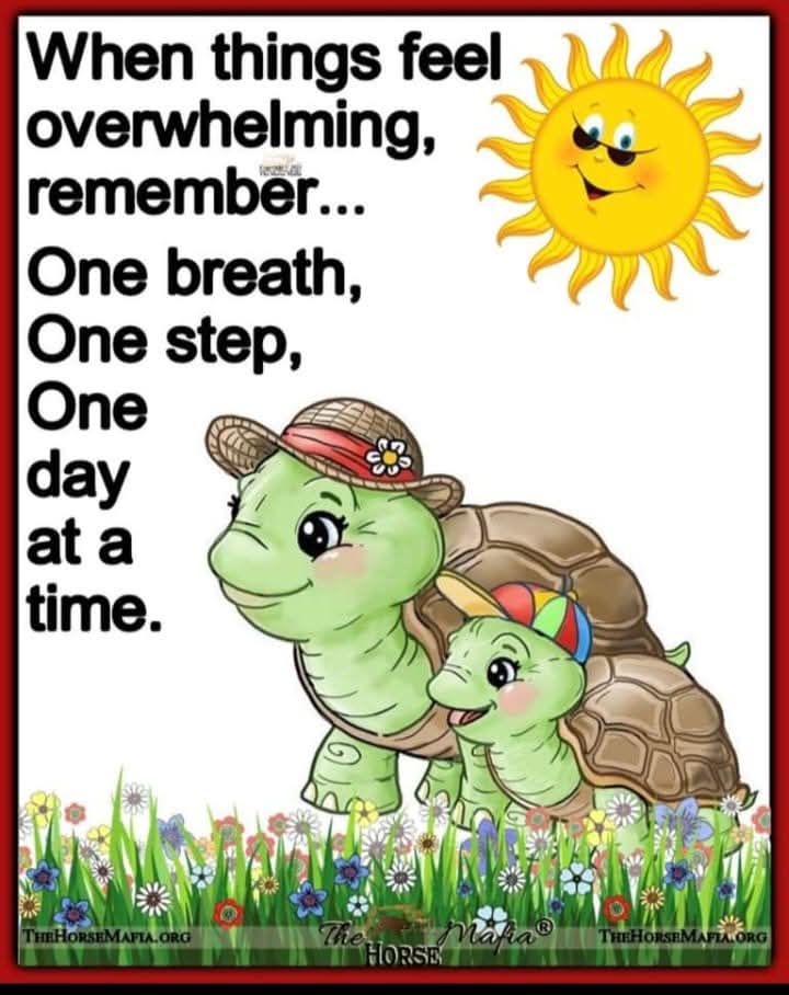 Two cartoon turtles with sun and inspirational quote about taking one step at a time
