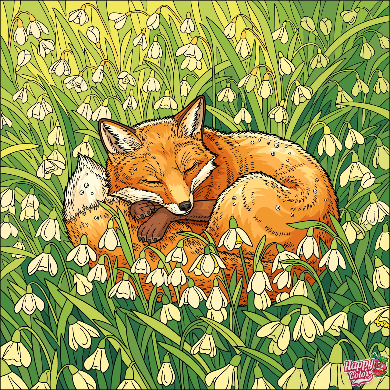 Orange fox curled up asleep in a field of white snowdrop flowers with green leaves
