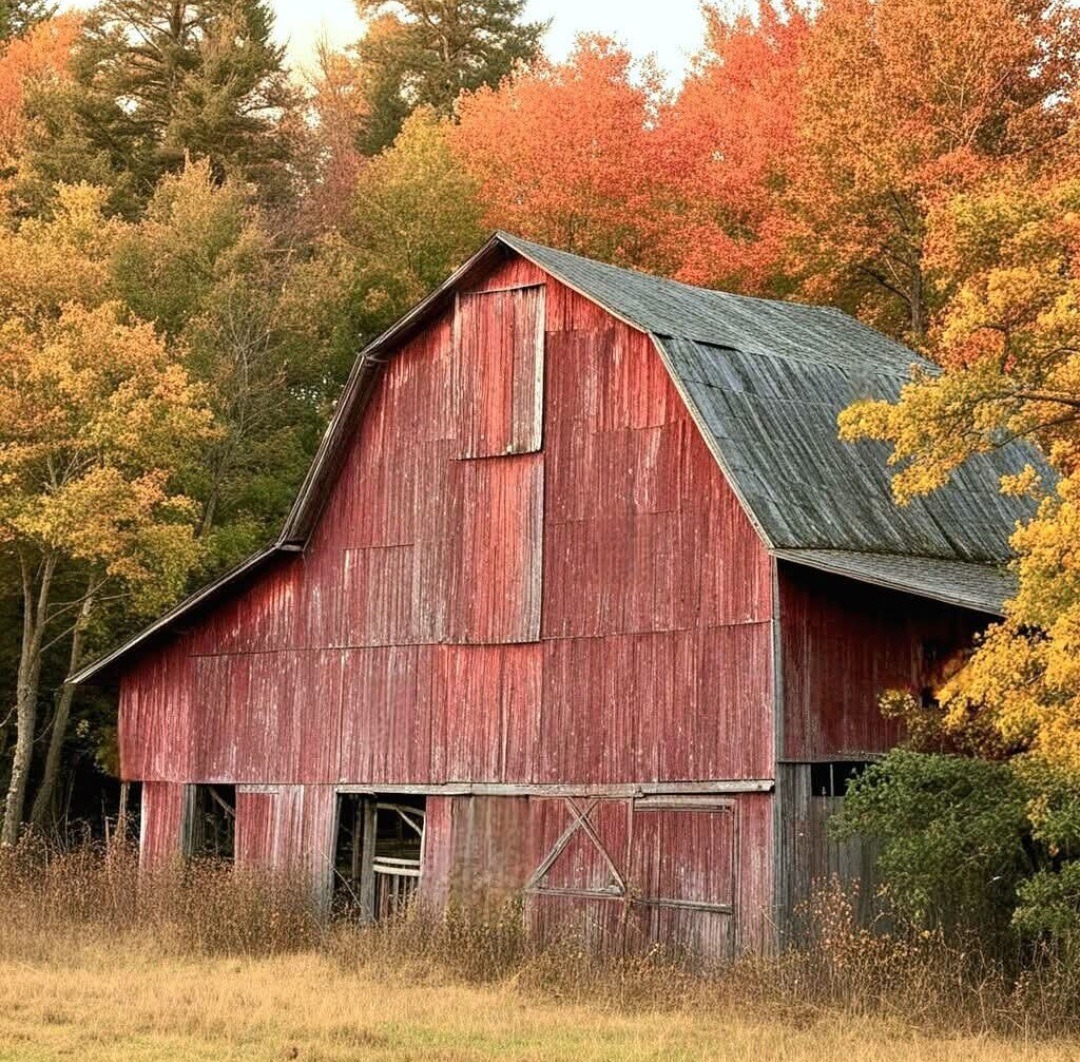 Old red barn in a grassy field with orange and yellow autumn trees behind it