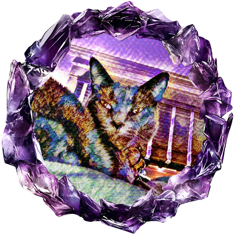 Cat with mosaic pattern surrounded by purple amethyst crystal border