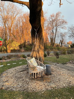 Woven hanging chair tied to a large tree in a garden with bare trees