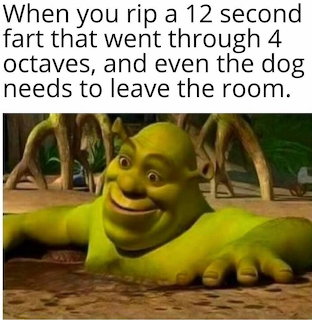 Meme image showing Shrek lying in mud with a humorous text caption above
