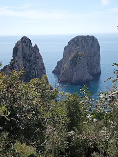 Three tall rocky sea stacks called Faraglioni rising from blue sea with green foliage in foreground