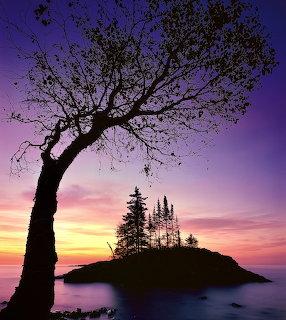 Silhoueted tree and small island with evergreen trees against a purple and orange sunrise sky over calm water