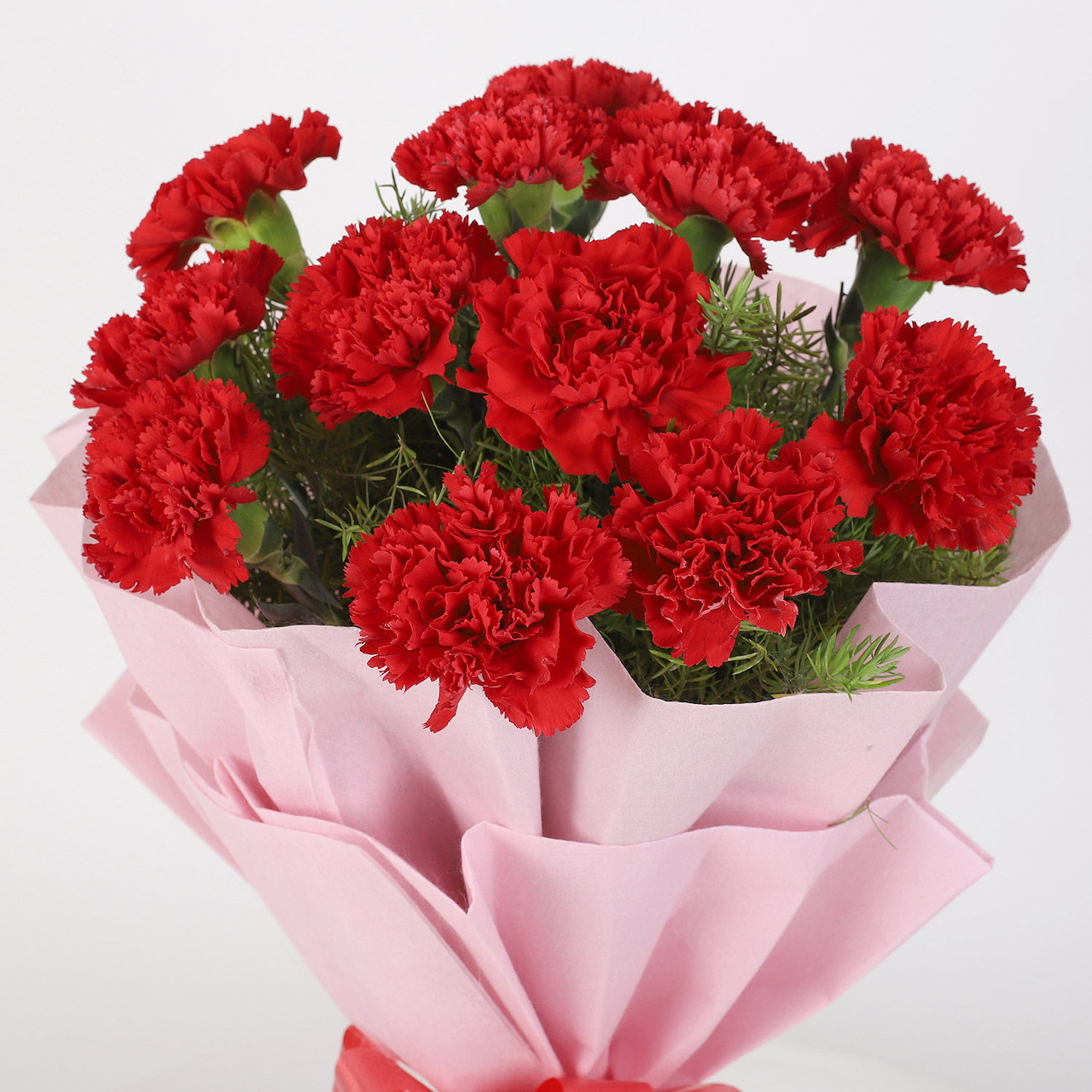 Bouquet of bright red carnations with green leaves wrapped in soft pink paper against white background