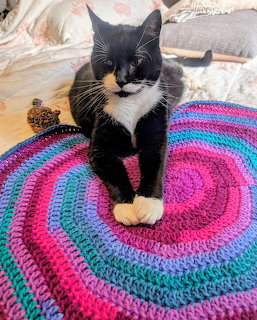 Tuxedo Cat on Colorful Blanket