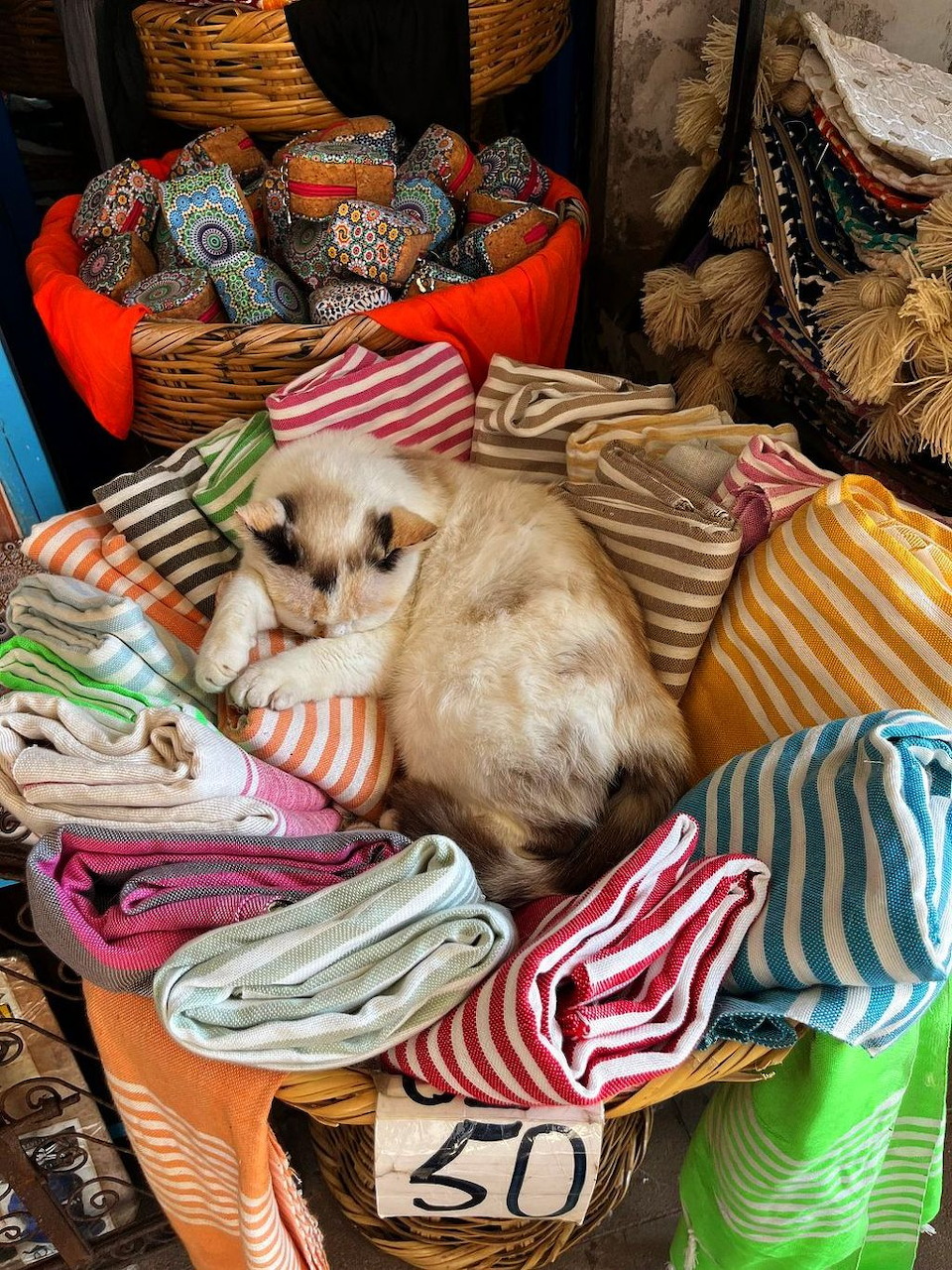 Cat Resting in Market Towels
