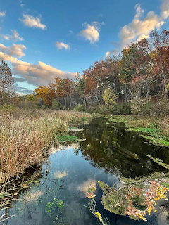 Calm creek reflecting autumn trees and blue sky with scattered clouds in Virginia