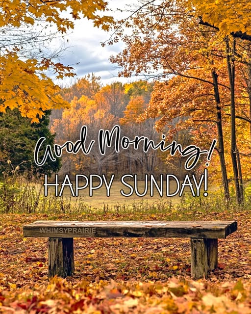 Happy Sunday Floral Greeting