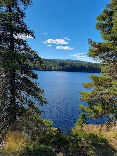 Blue lake surrounded by evergreen forest with clear sky and clouds