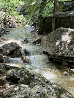 Creek water flowing over large moss-covered rocks surrounded by green forest