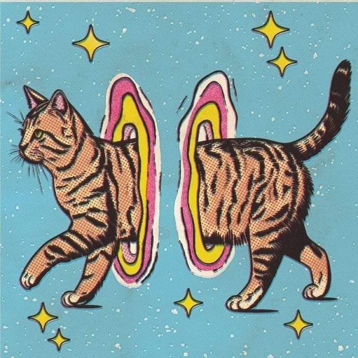 Striped tabby cat walking through rainbow portals on starry blue background