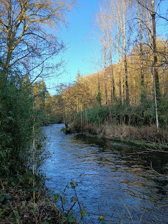 River flowing through bare winter trees under blue sky in Cork, Ireland