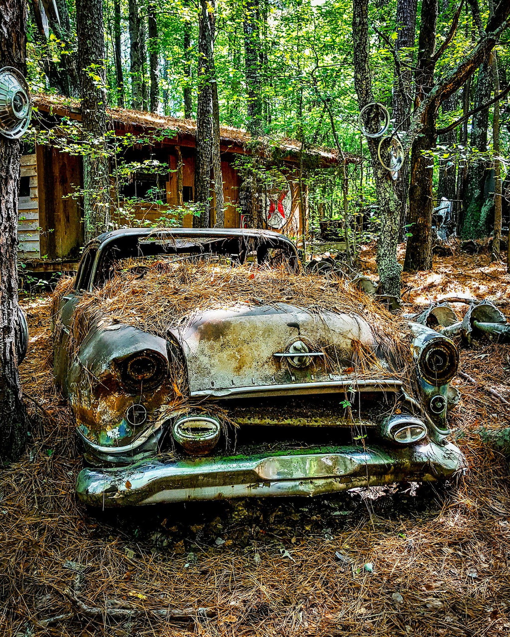 Rusted vintage Oldsmobile 88 sedan abandoned in forest among trees and fallen leaves