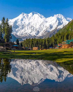Nanga Parbat mountain with snow peaks reflected in still lake, surrounded by forest and meadow