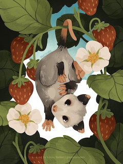 Illustrated opossum hanging upside down among strawberries, green leaves, and white flowers.