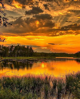 Brilliant golden sunset with dramatic clouds reflecting over a calm forest lake surrounded by pine trees and grass