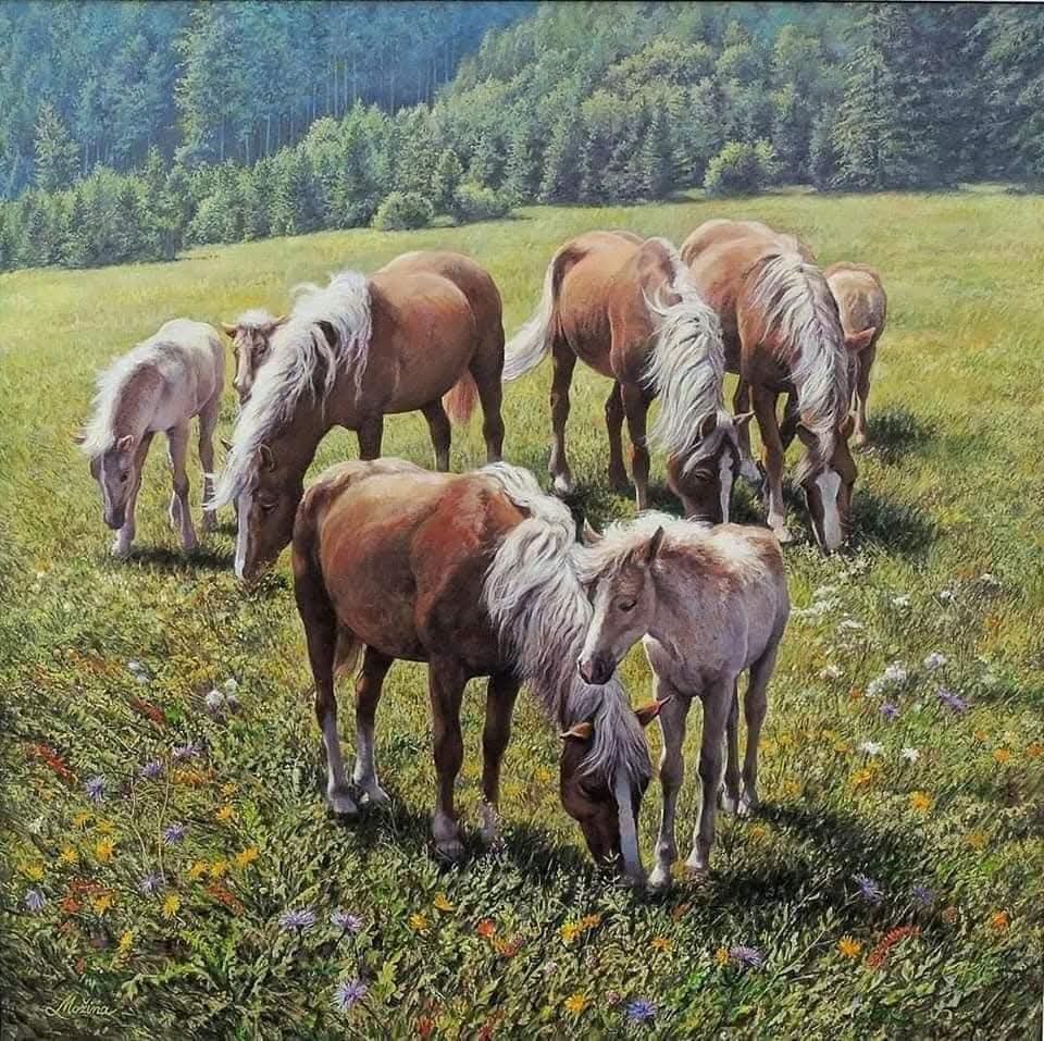 Horses in Meadow