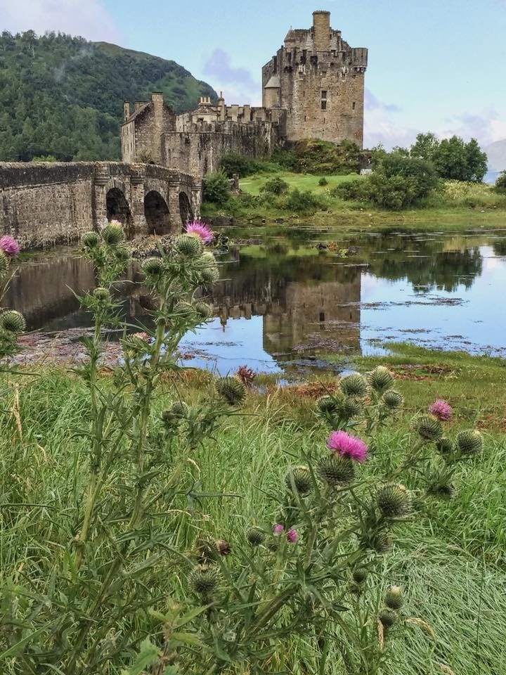 Medieval stone castle and arched bridge reflected in still loch water with purple thistles in foreground